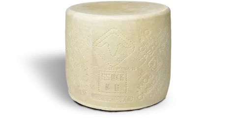 Avių pieno Pecorino Romano DOP