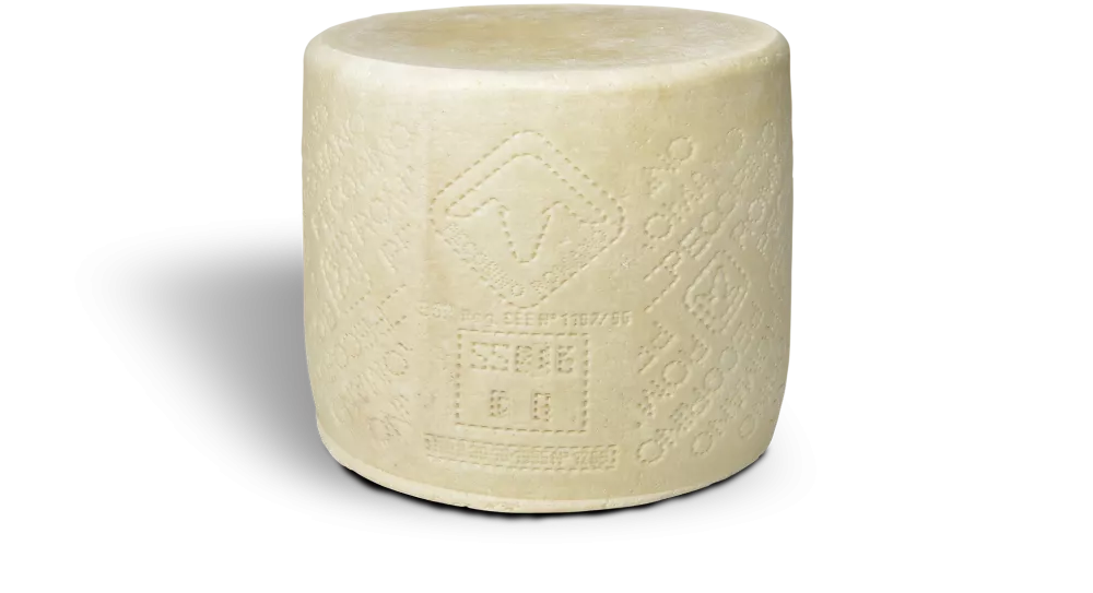 Avių pieno Pecorino Romano DOP