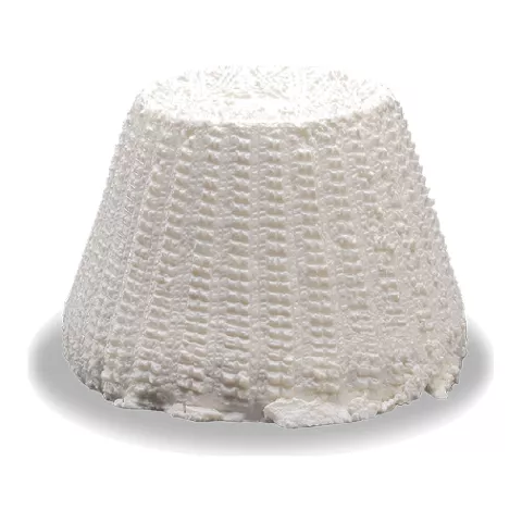 Avių pieno ricotta